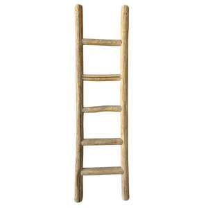 Cove Elm Ladder