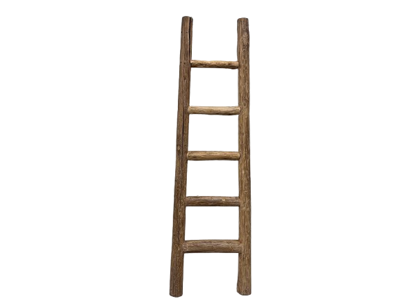 Cove Elm Bathroom Ladder